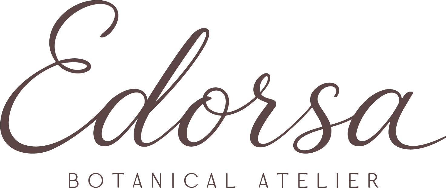 Edorsa